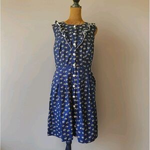 Birds of North America Dress Size 8 Blue Floral Ruffle Button Down Cottagecore‎
